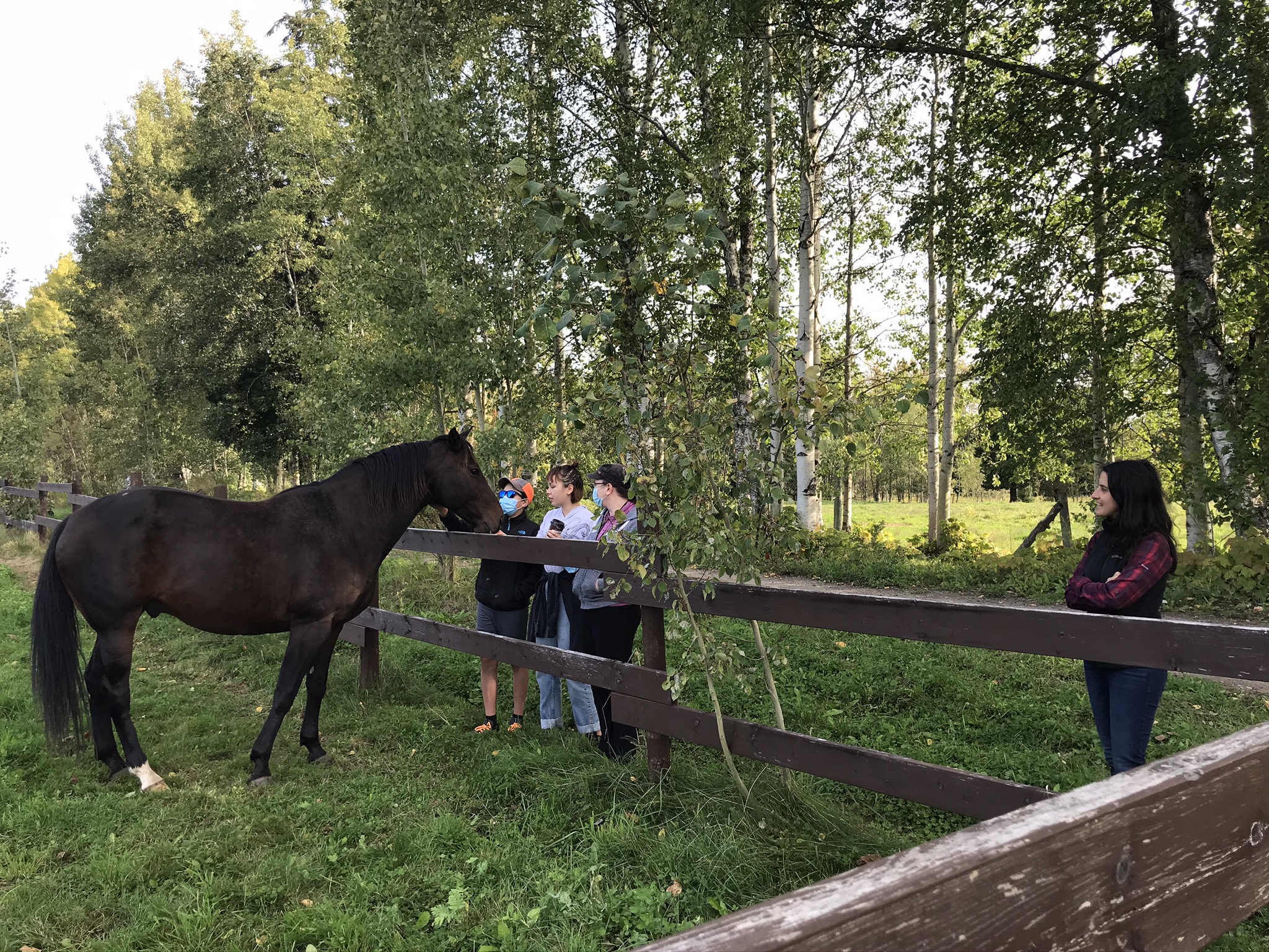 September 2020: Spotted Horse Nursary